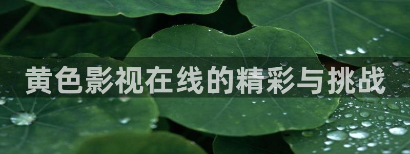 酷客影院交换的一天